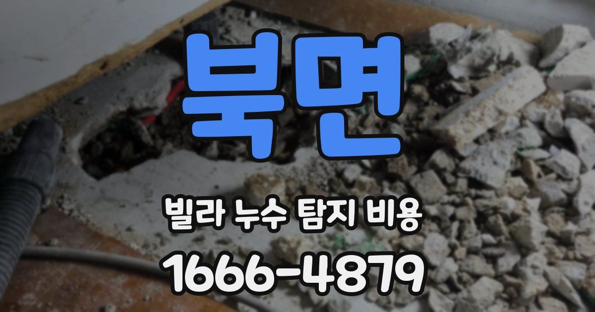 북면 빌라 누수 탐지 비용