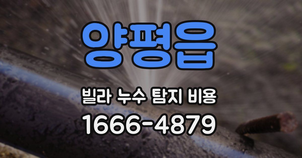 양평읍 빌라 누수 탐지 비용