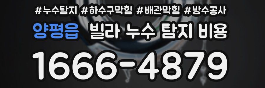 양평읍 빌라 누수 탐지 비용