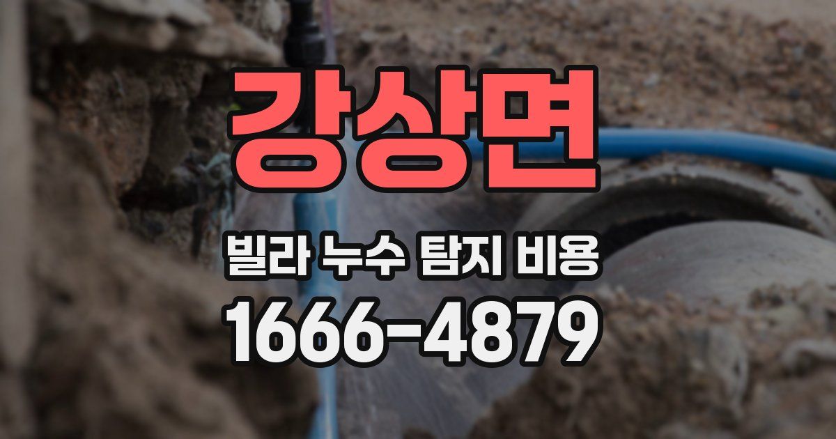 강상면 빌라 누수 탐지 비용