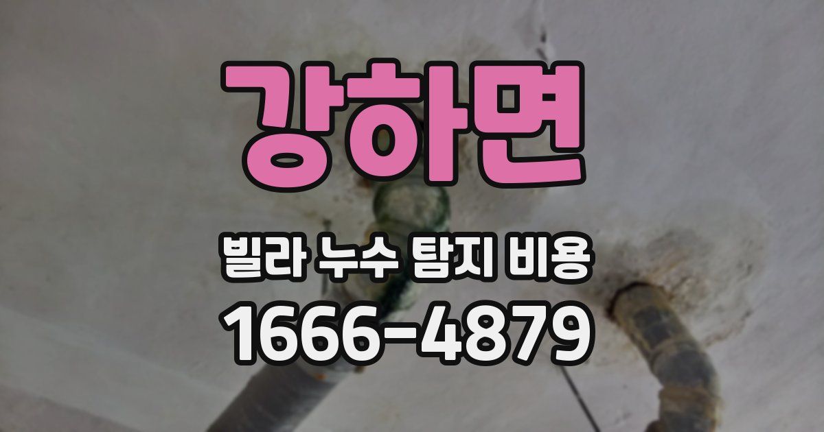 강하면 빌라 누수 탐지 비용