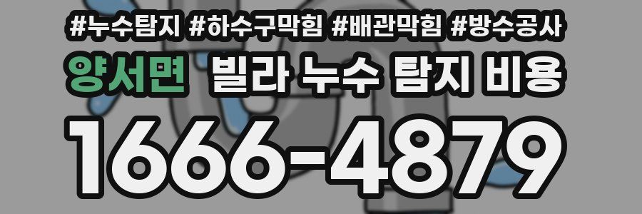 양서면 빌라 누수 탐지 비용