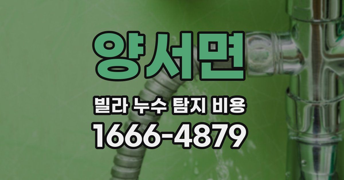 양서면 빌라 누수 탐지 비용