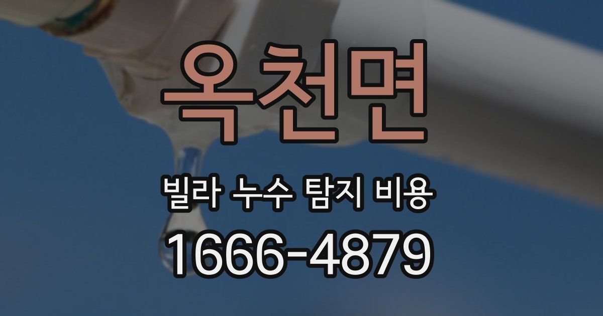 옥천면 빌라 누수 탐지 비용