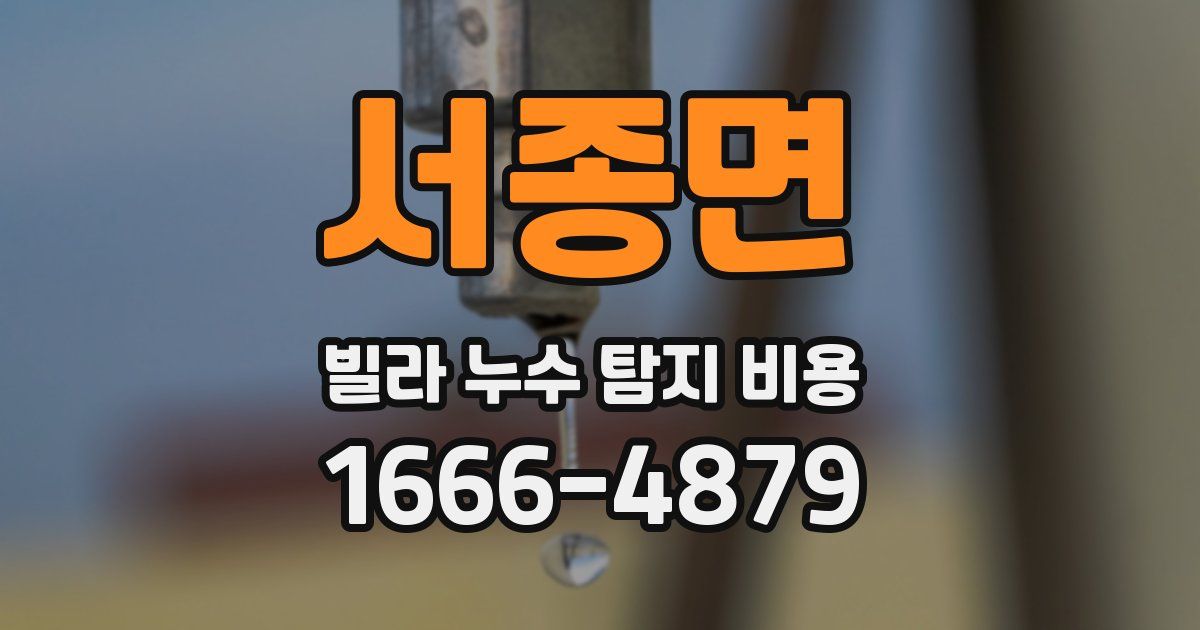 서종면 빌라 누수 탐지 비용