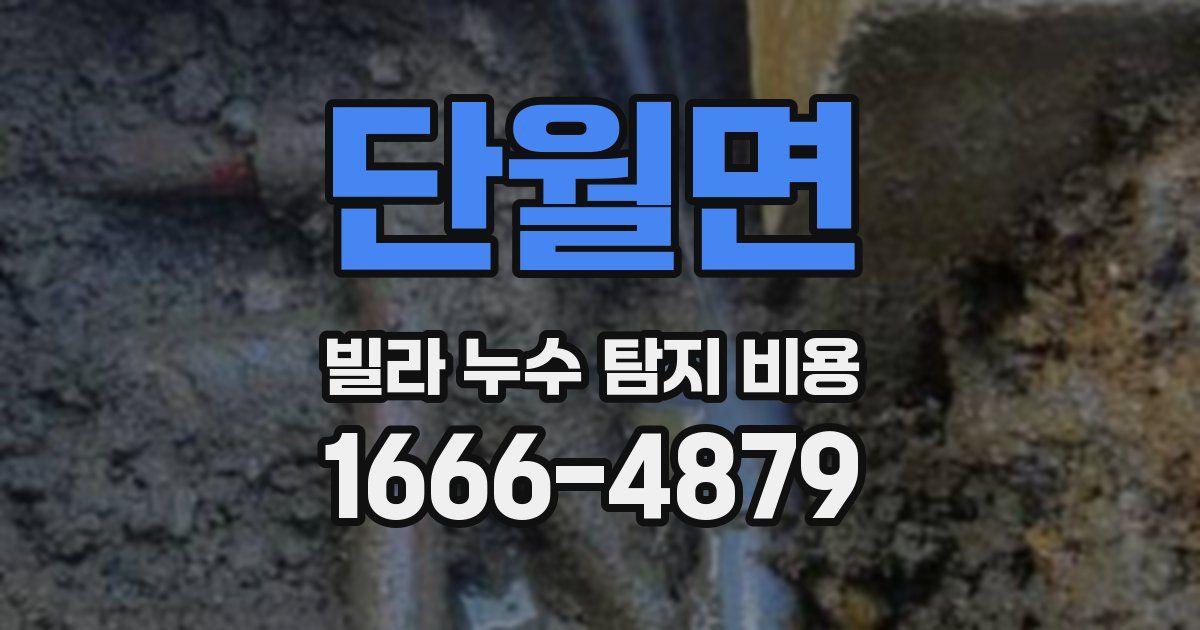 단월면 빌라 누수 탐지 비용