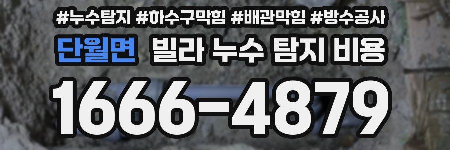 단월면 빌라 누수 탐지 비용