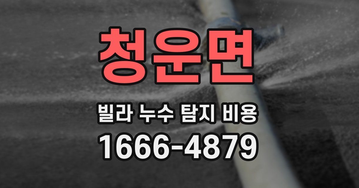 청운면 빌라 누수 탐지 비용