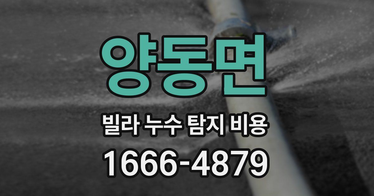 양동면 빌라 누수 탐지 비용