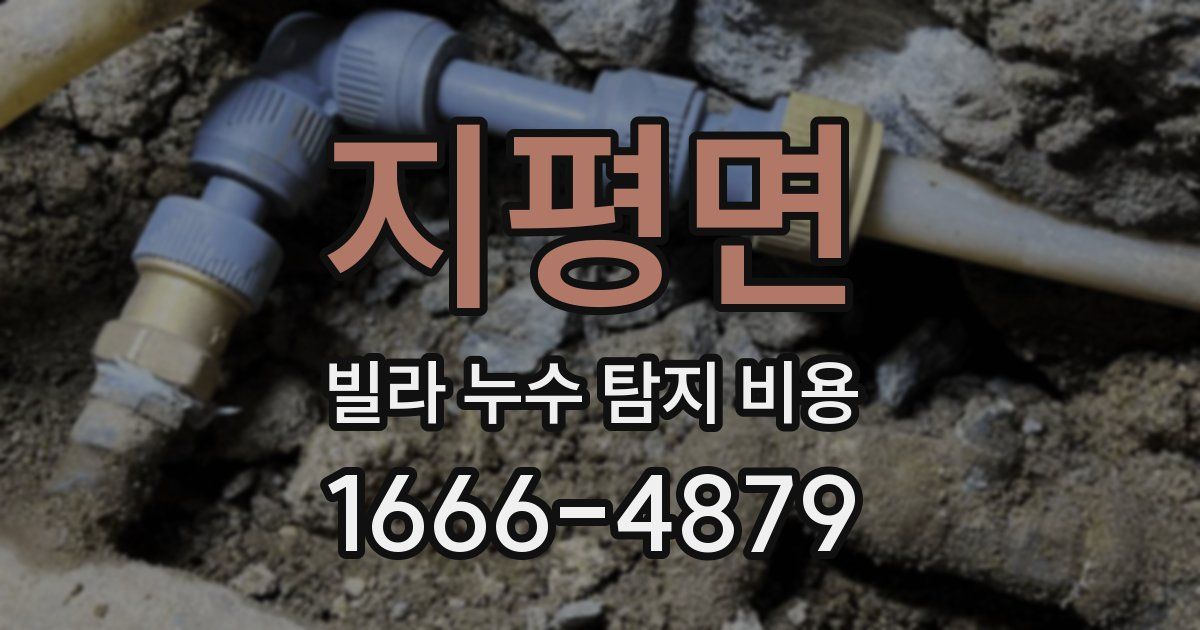 지평면 빌라 누수 탐지 비용