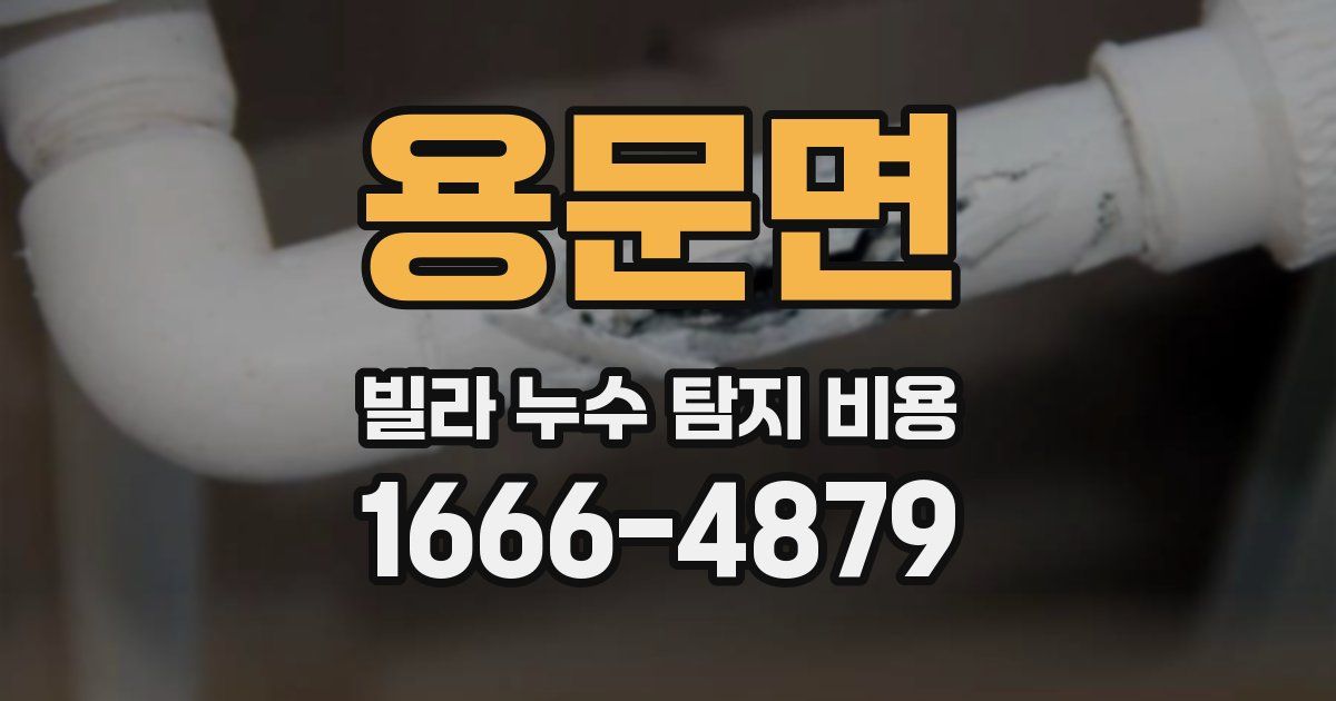 용문면 빌라 누수 탐지 비용
