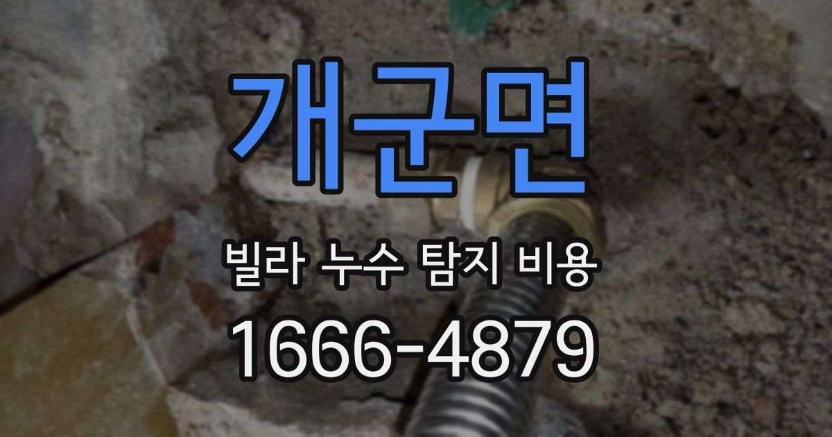 개군면 빌라 누수 탐지 비용