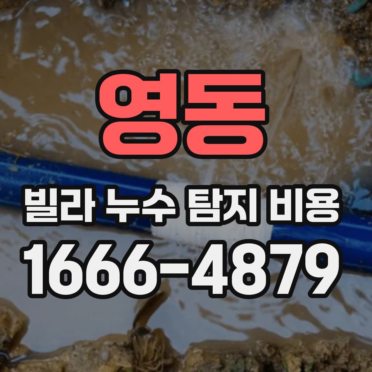 영동 빌라 누수 탐지 비용