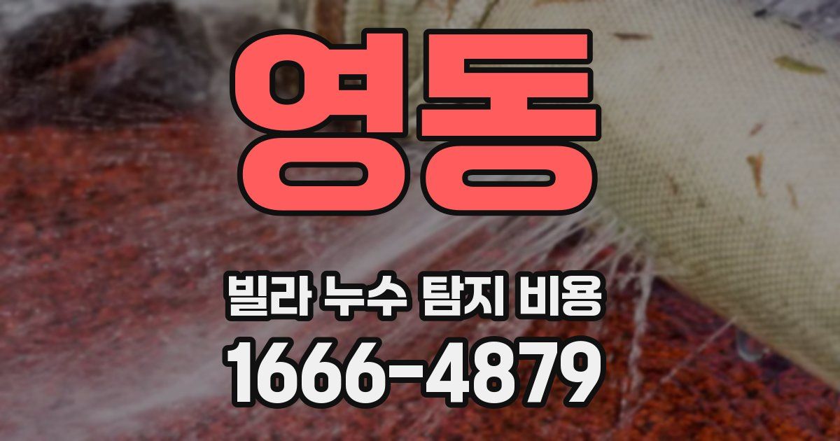 영동 빌라 누수 탐지 비용