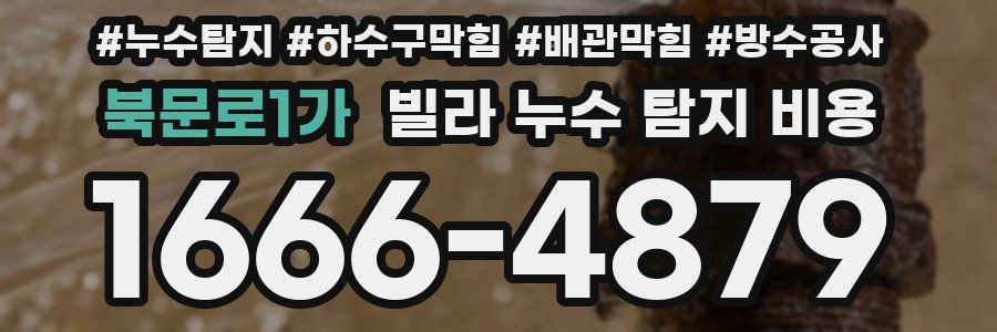 북문로1가 빌라 누수 탐지 비용