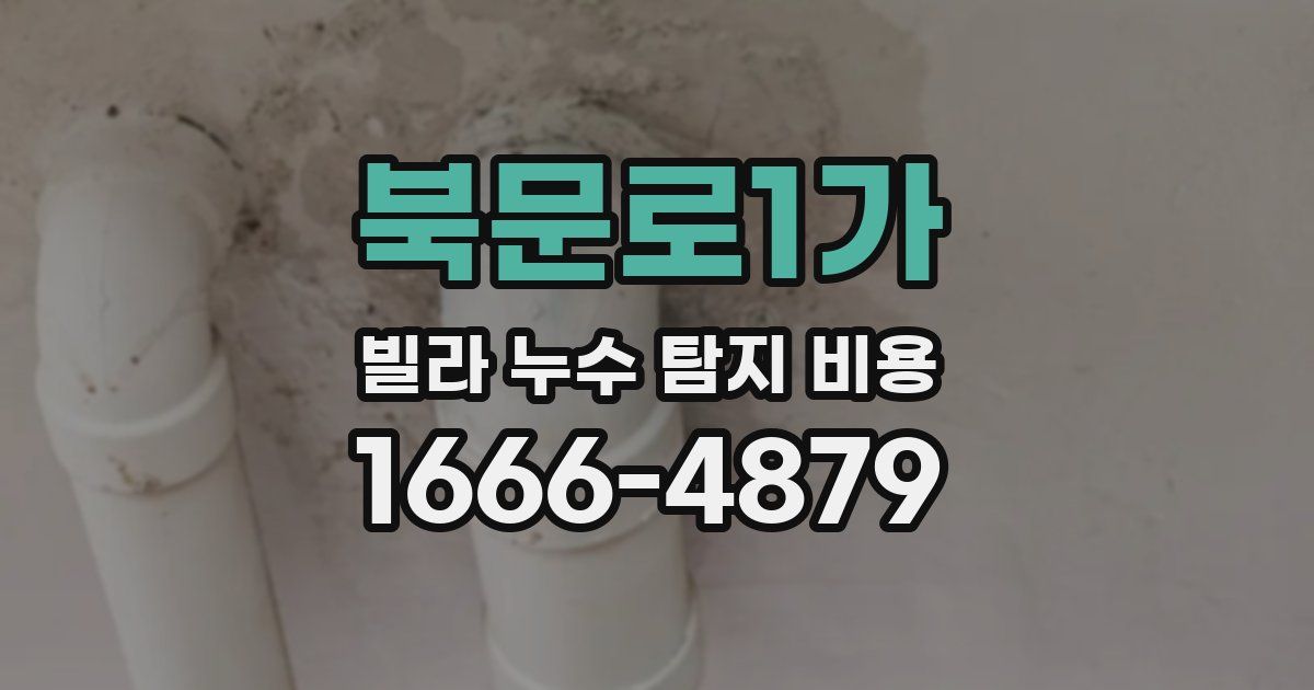 북문로1가 빌라 누수 탐지 비용