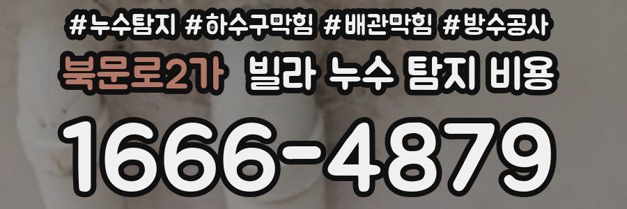 북문로2가 빌라 누수 탐지 비용