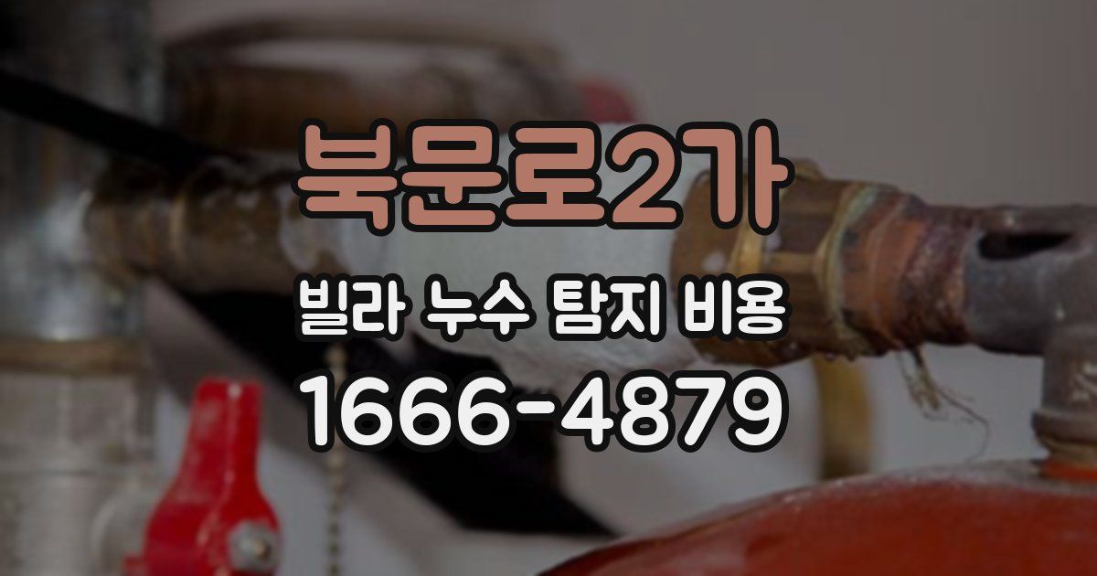 북문로2가 빌라 누수 탐지 비용