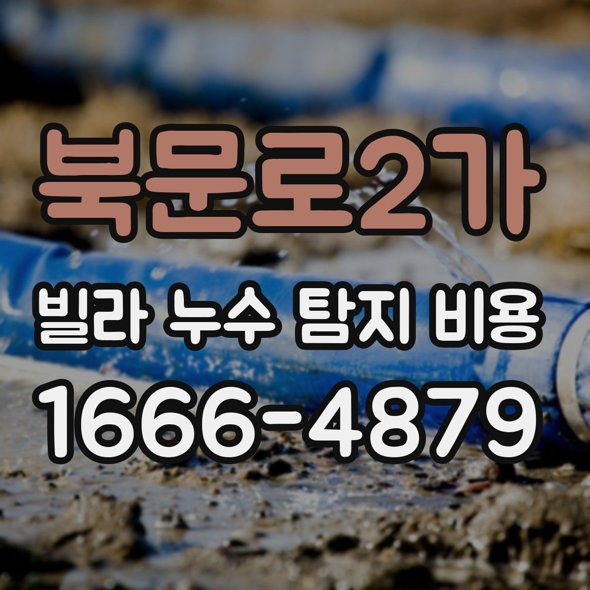 북문로2가 빌라 누수 탐지 비용
