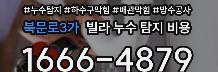 북문로3가 빌라 누수 탐지 비용