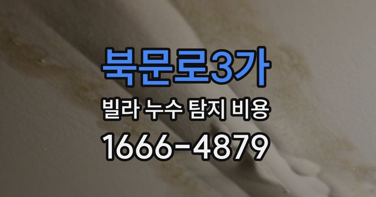 북문로3가 빌라 누수 탐지 비용