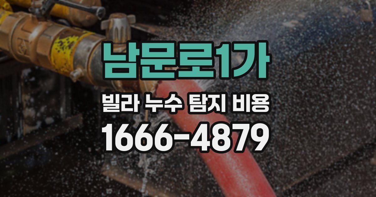 남문로1가 빌라 누수 탐지 비용