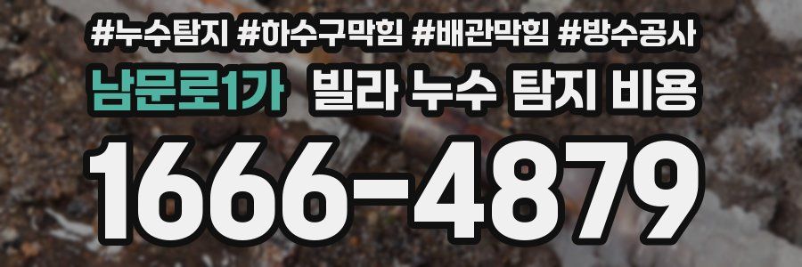 남문로1가 빌라 누수 탐지 비용