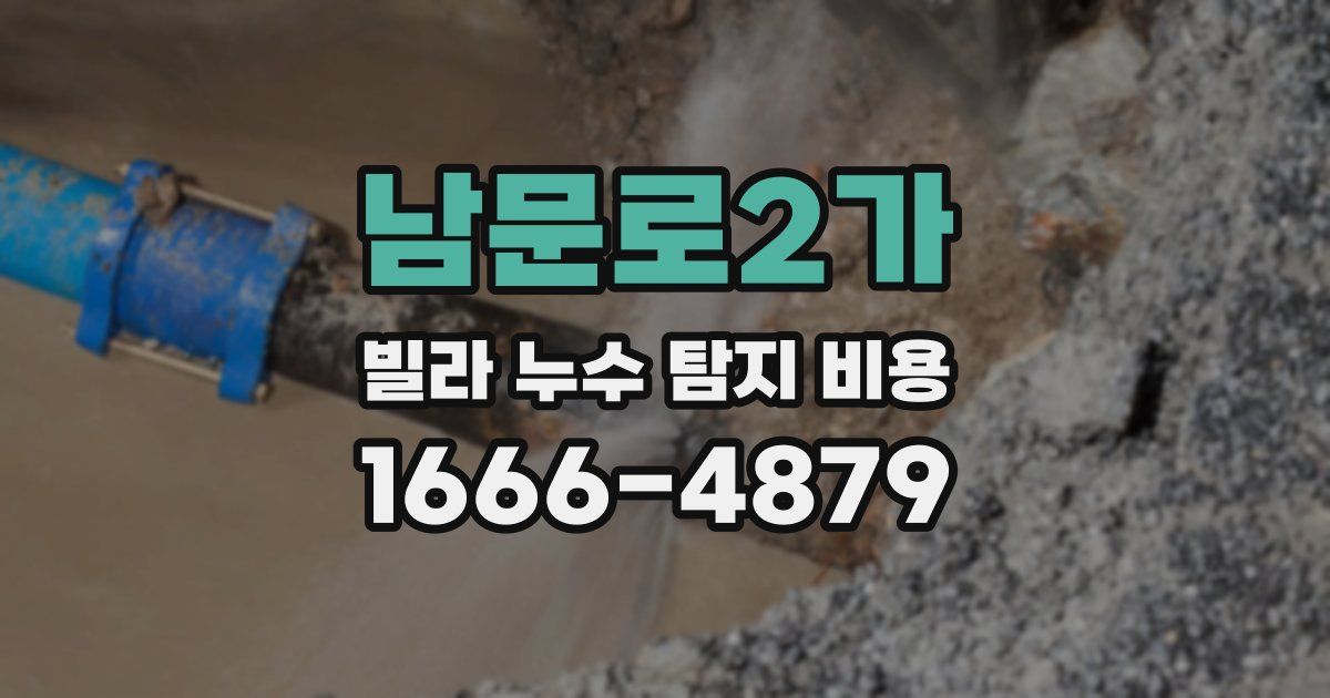 남문로2가 빌라 누수 탐지 비용