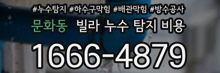 문화동 빌라 누수 탐지 비용