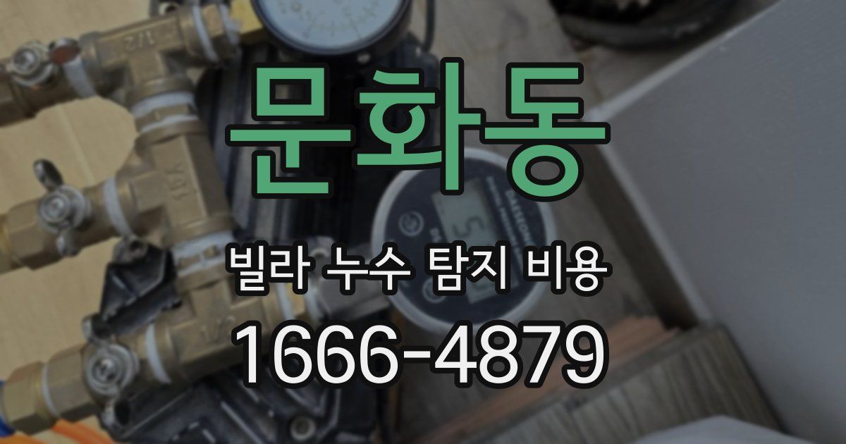 문화동 빌라 누수 탐지 비용
