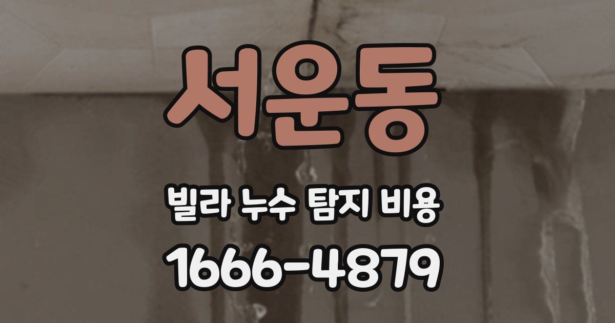 서운동 빌라 누수 탐지 비용