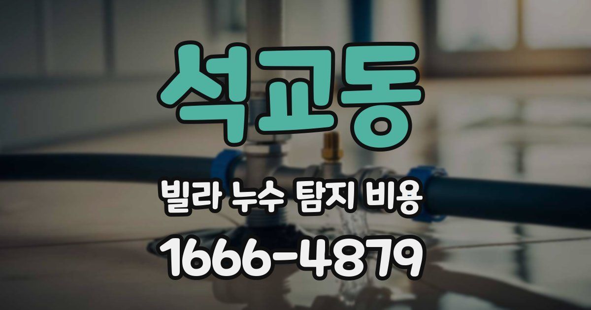 석교동 빌라 누수 탐지 비용