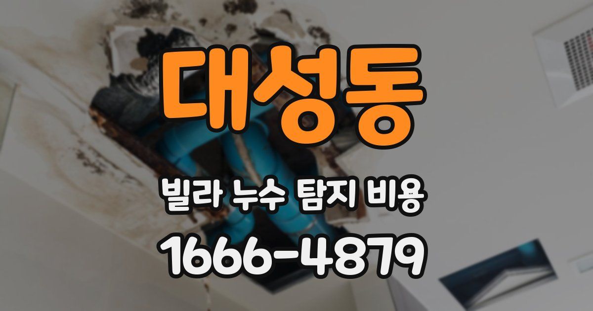 대성동 빌라 누수 탐지 비용