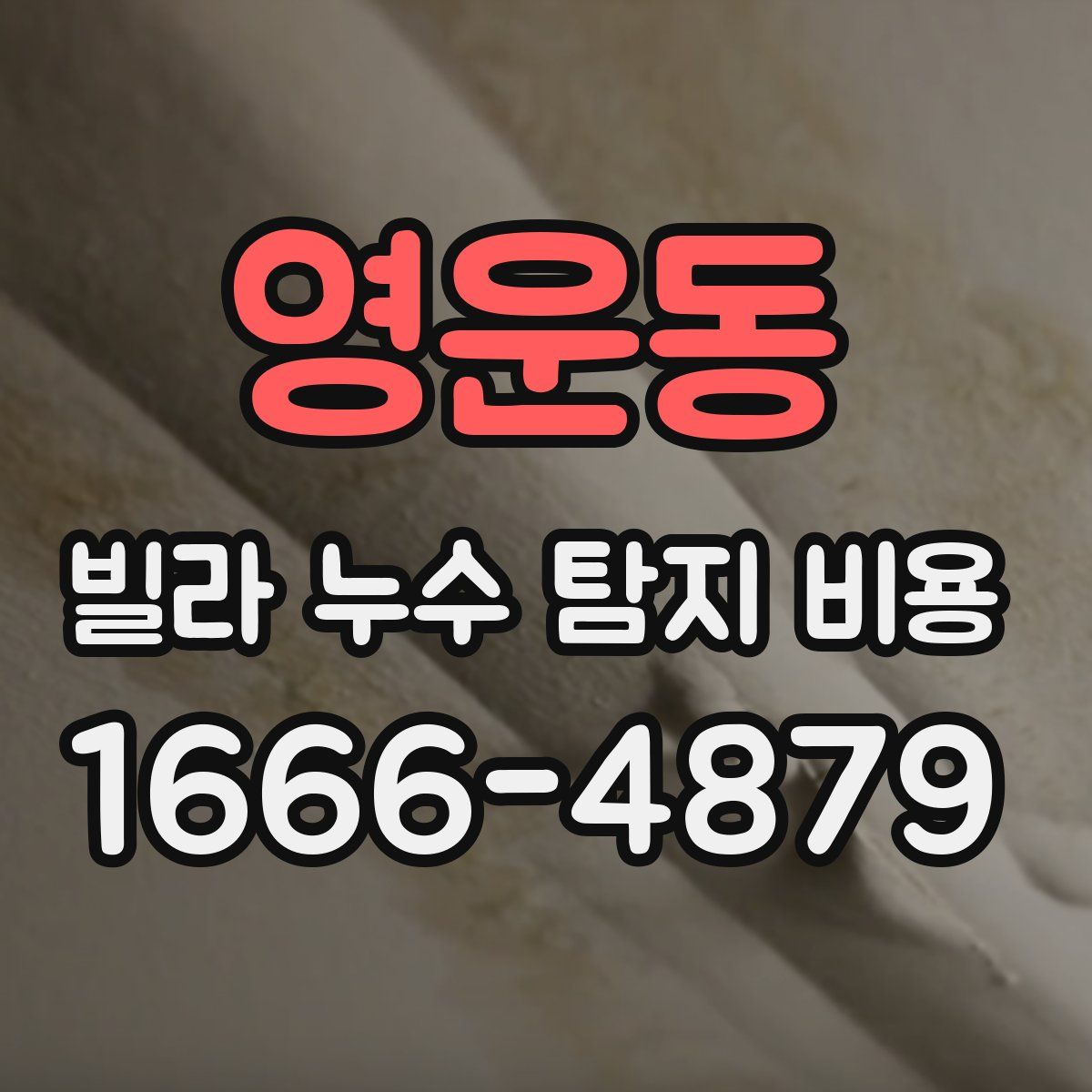 영운동 빌라 누수 탐지 비용