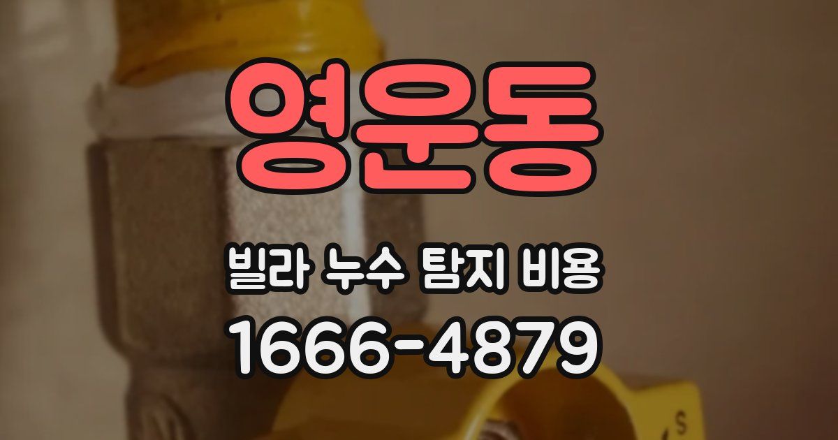 영운동 빌라 누수 탐지 비용