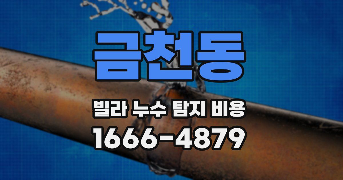 금천동 빌라 누수 탐지 비용