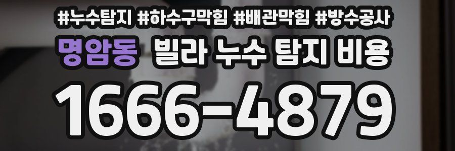 명암동 빌라 누수 탐지 비용