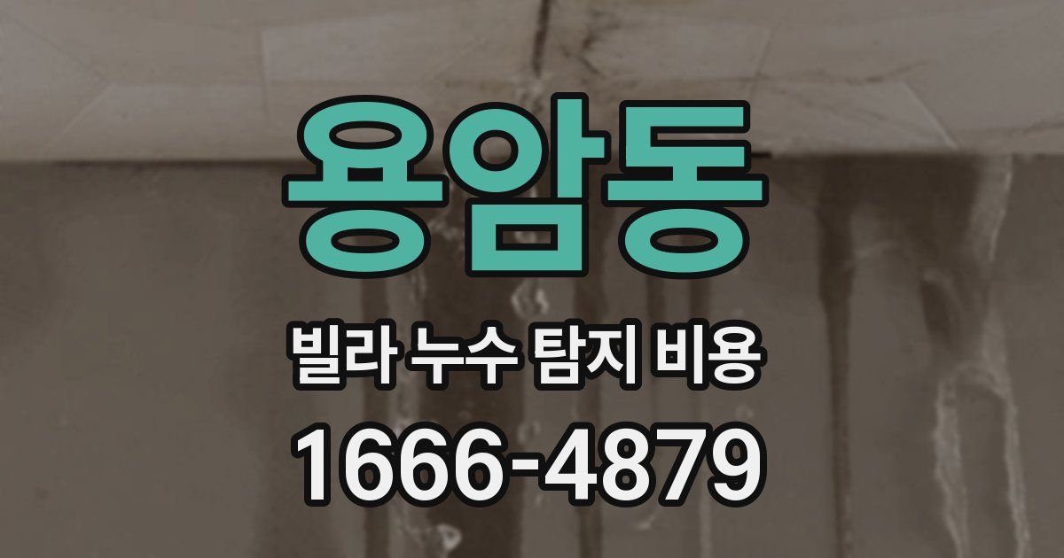 용암동 빌라 누수 탐지 비용