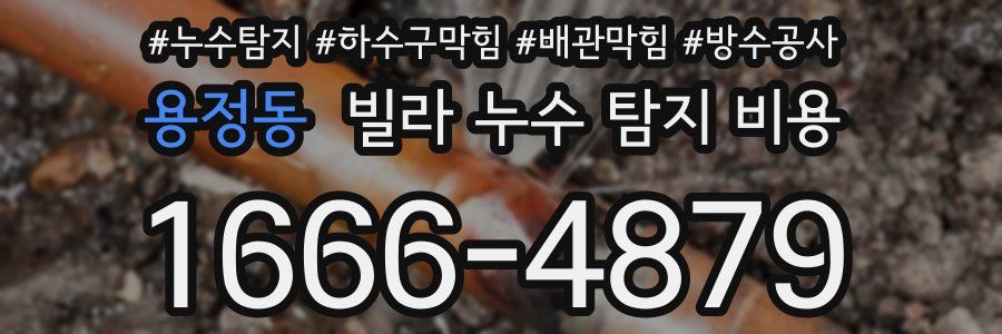 용정동 빌라 누수 탐지 비용