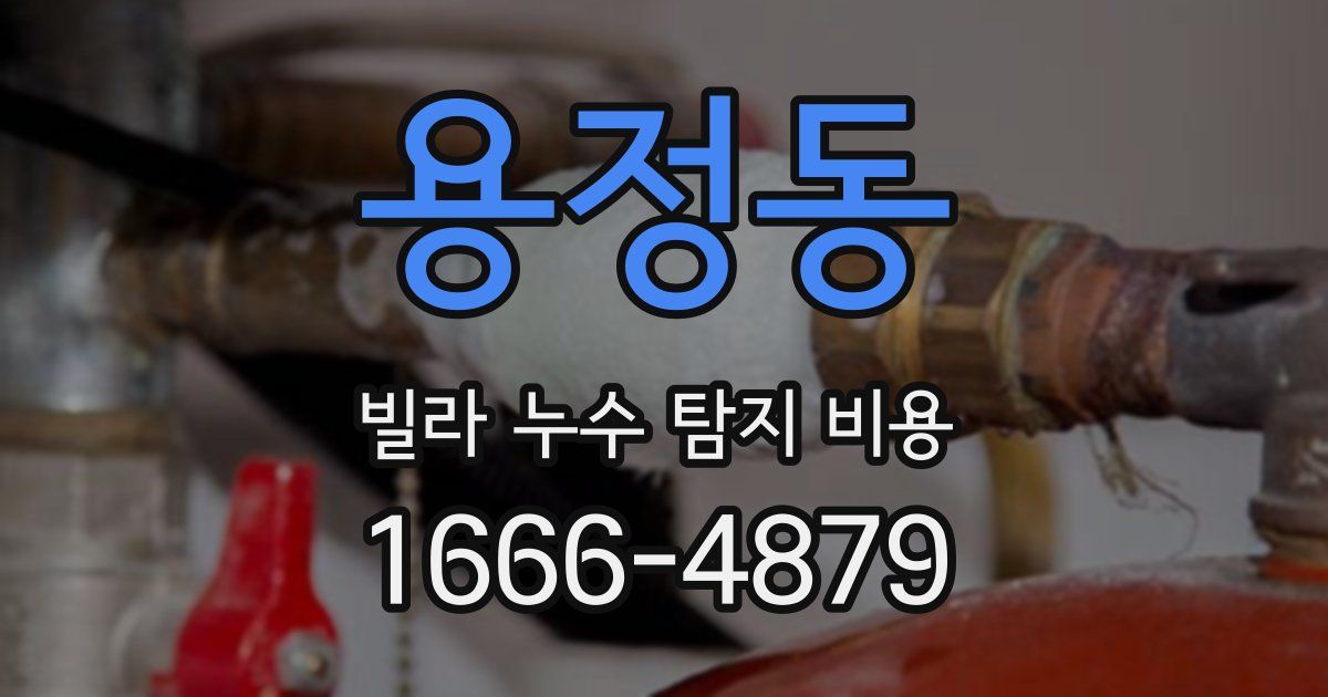 용정동 빌라 누수 탐지 비용