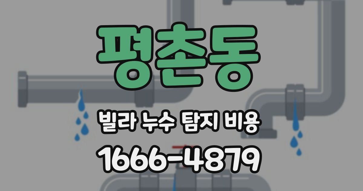 평촌동 빌라 누수 탐지 비용