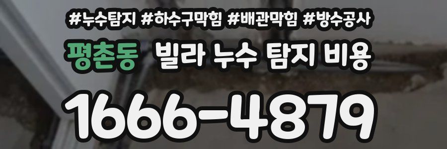 평촌동 빌라 누수 탐지 비용