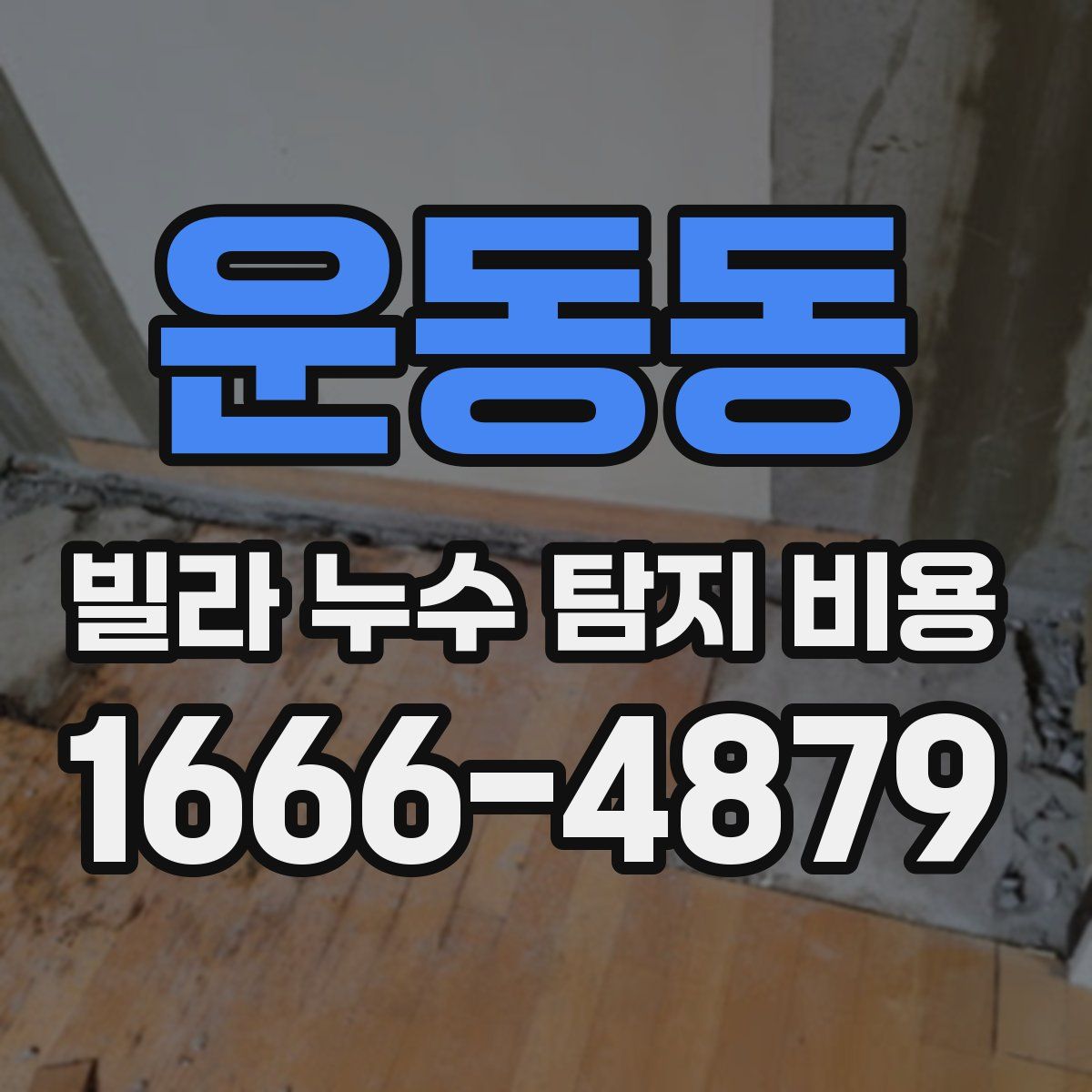 운동동 빌라 누수 탐지 비용