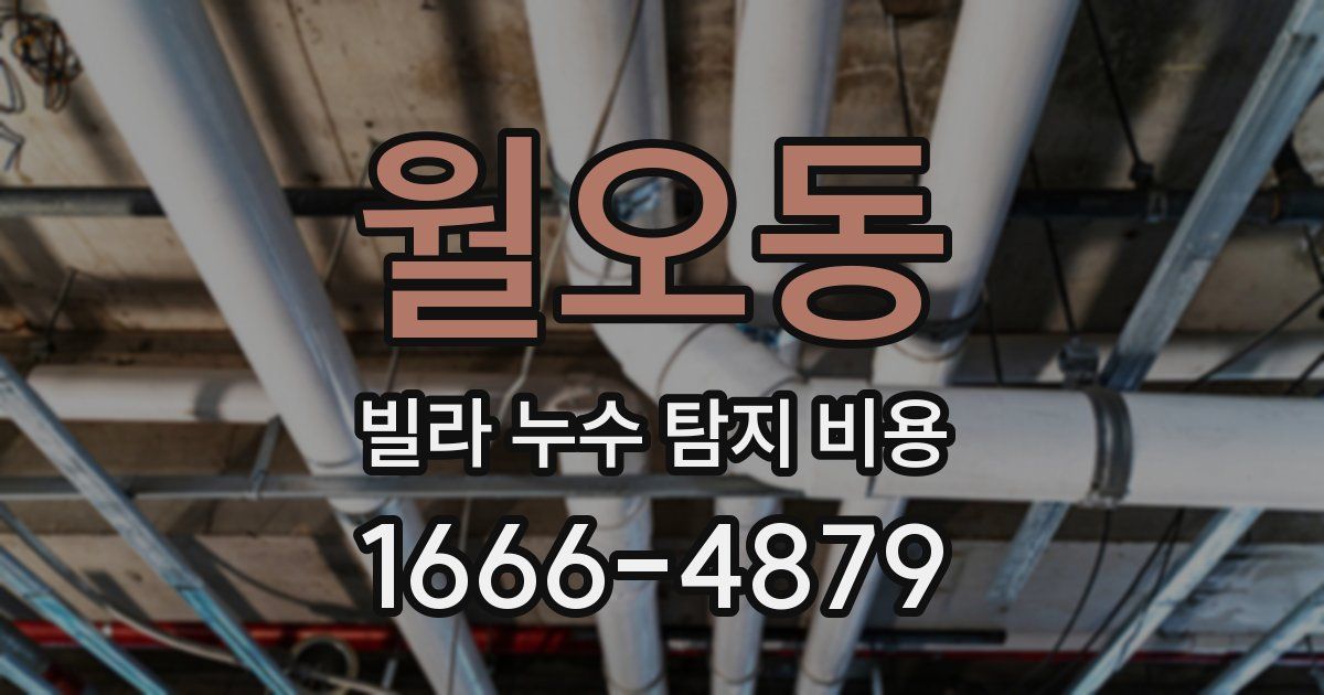 월오동 빌라 누수 탐지 비용