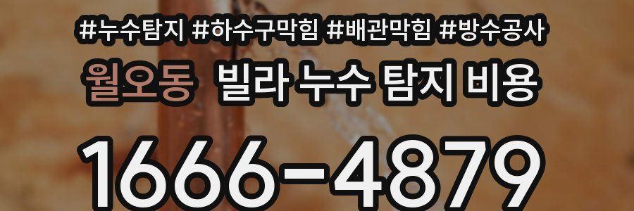 월오동 빌라 누수 탐지 비용