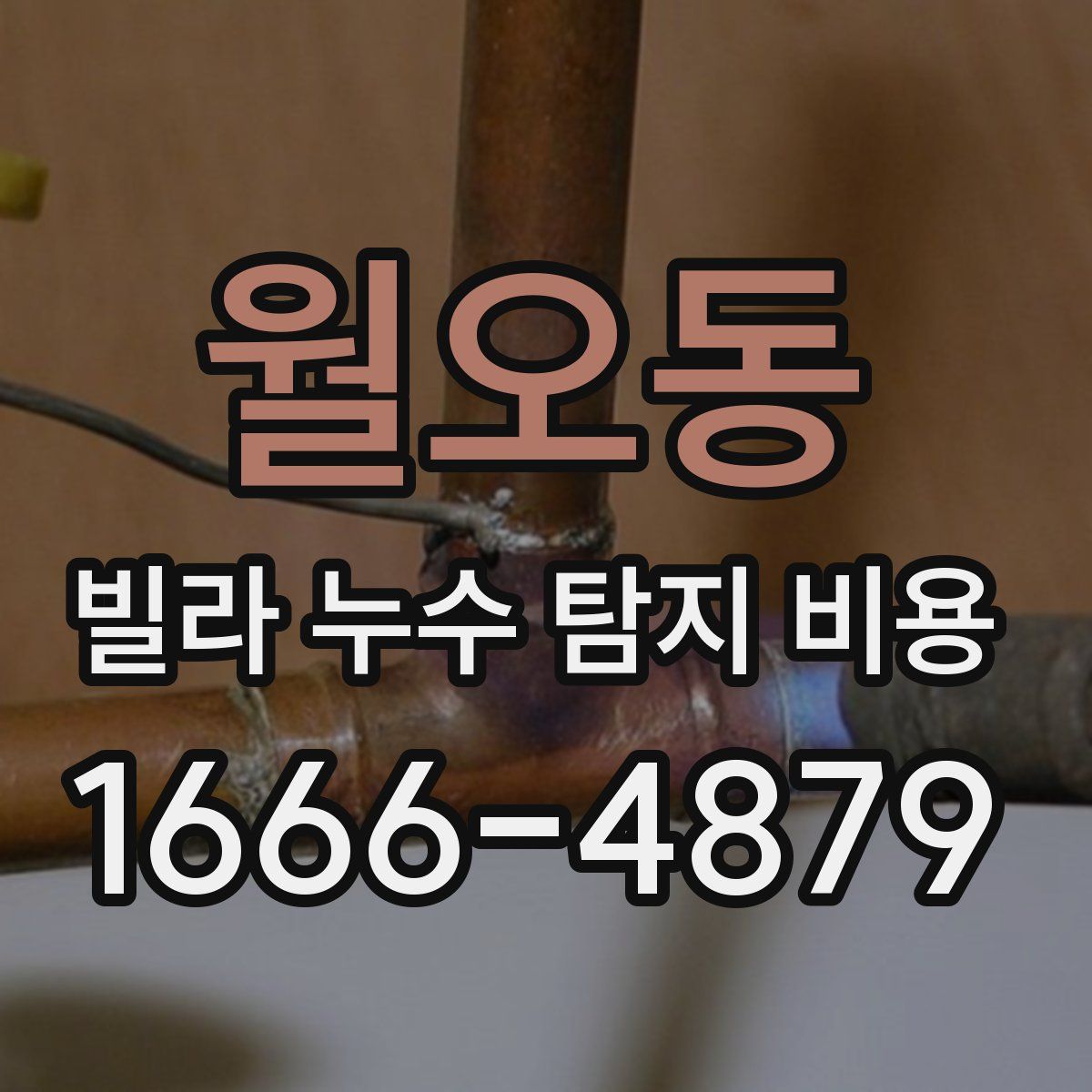 월오동 빌라 누수 탐지 비용