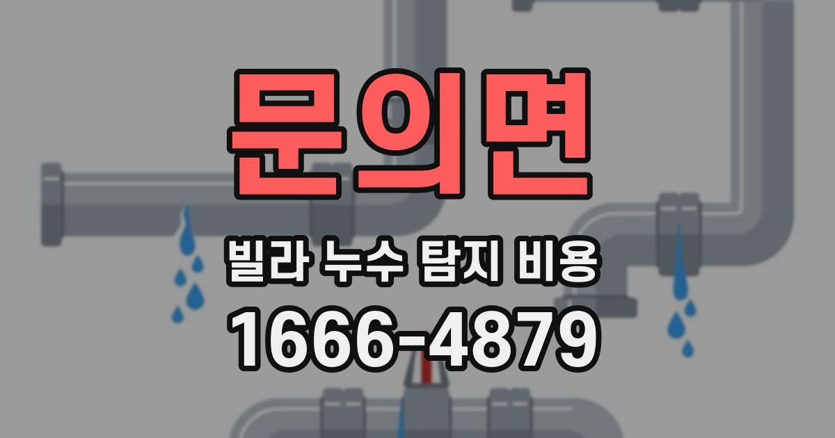 문의면 빌라 누수 탐지 비용