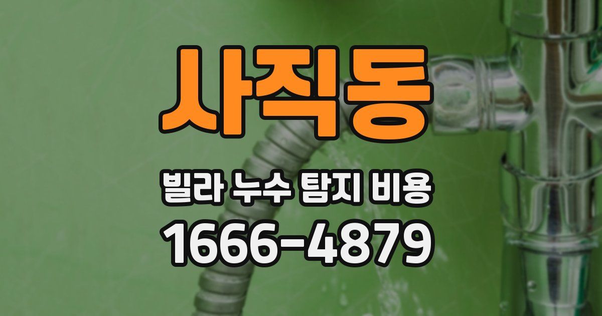 사직동 빌라 누수 탐지 비용
