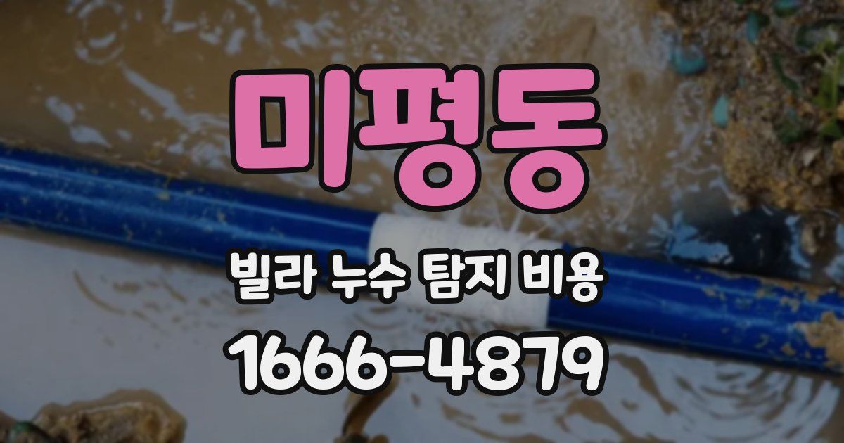미평동 빌라 누수 탐지 비용