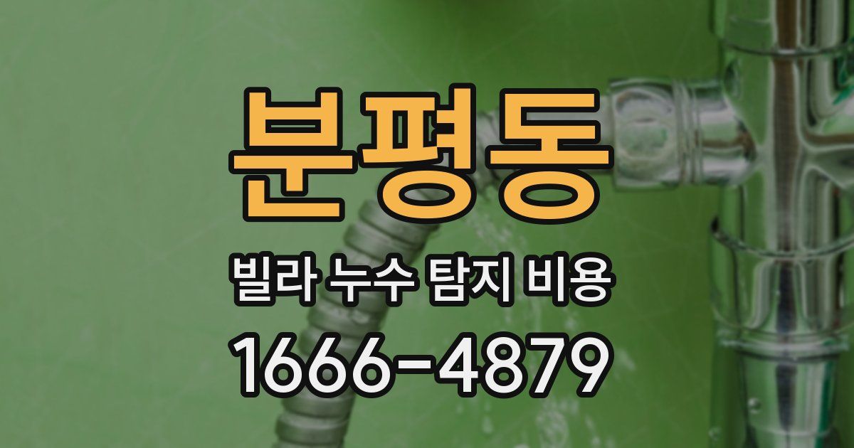 분평동 빌라 누수 탐지 비용